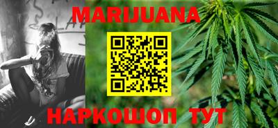 гашик Ливны