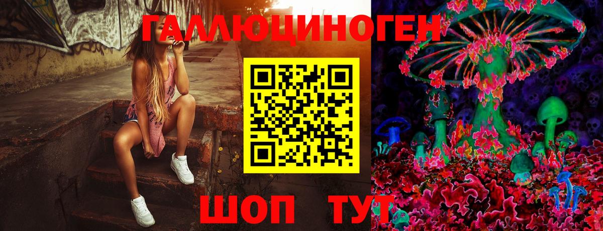 Галлюциногенные грибы прущие грибы Зима